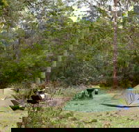 Long Gully picnic area - Northern Rivers Accommodation