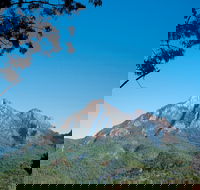Lower Portals track Mount Barney National Park - Northern Rivers Accommodation