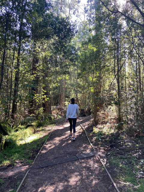 Lyrebird Circuit Walk - Northern Rivers Accommodation 0
