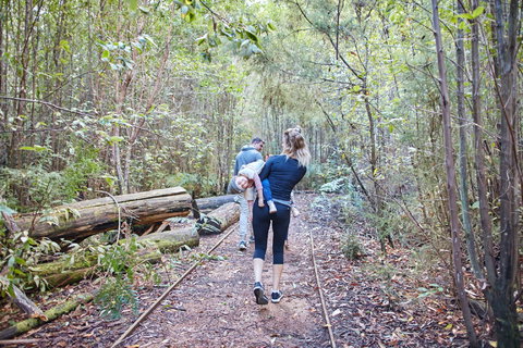 Lyrebird Circuit Walk - Northern Rivers Accommodation 1