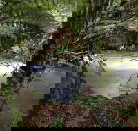 Marriotts Falls and Junee Caves - Northern Rivers Accommodation