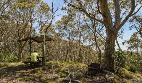 Mount Barrington Picnic Area - Northern Rivers Accommodation 0