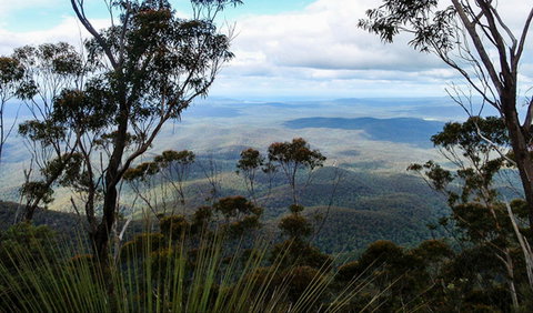 Mount Imlay National Park - Northern Rivers Accommodation 0