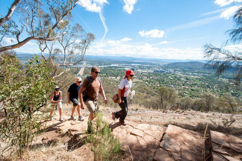 Mount Ainslie Lookout - Northern Rivers Accommodation 0