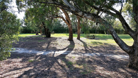 Mt Lindsay Rotary Park - Northern Rivers Accommodation 1