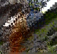 Mystery Face Walking Track - Northern Rivers Accommodation