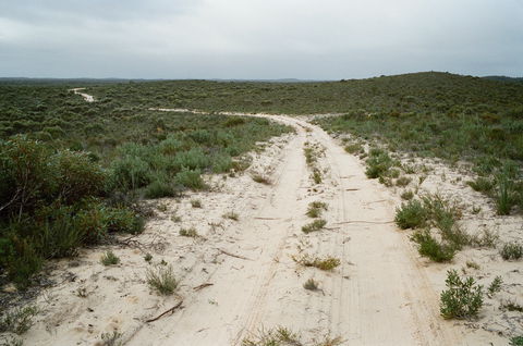 Ngarkat Conservation Park - Northern Rivers Accommodation 0