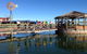 Ocean Park Aquarium - thumb 0
