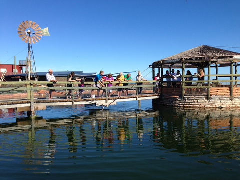 Ocean Park Aquarium - Northern Rivers Accommodation 0