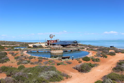 Ocean Park Aquarium - Northern Rivers Accommodation 1