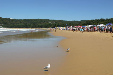 Ocean Beach Umina - Northern Rivers Accommodation 0