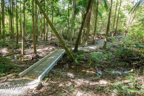 Old Bottlebutt - Northern Rivers Accommodation 0
