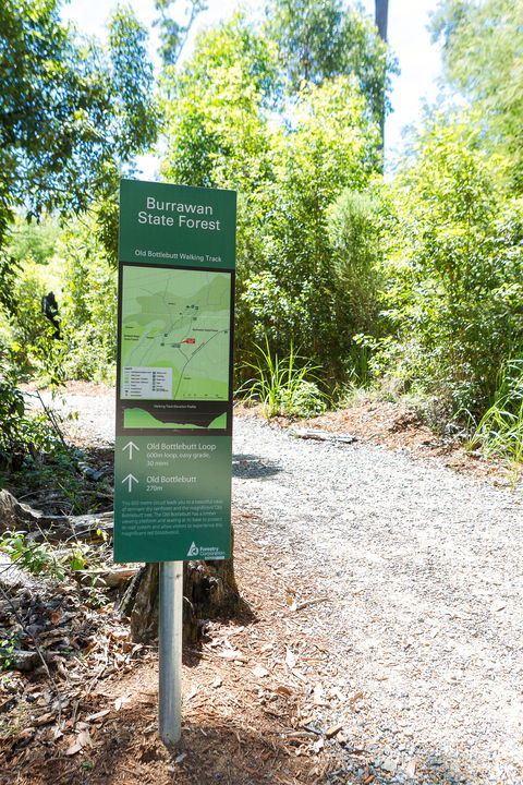 Old Bottlebutt - Northern Rivers Accommodation 1