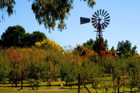Orange Botanic Gardens - Northern Rivers Accommodation 2