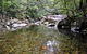 Orara River - thumb 2