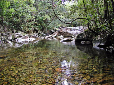 Orara River - Northern Rivers Accommodation 2