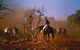 Outback Heritage And Coal Adventure - thumb 0