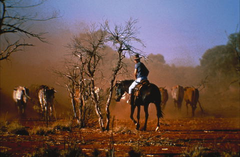Outback Heritage And Coal Adventure - Northern Rivers Accommodation 0
