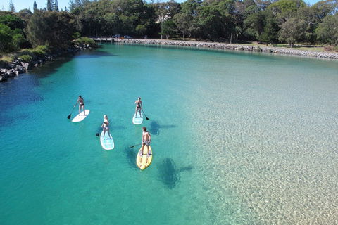 Paddleboard At Back Creek South West Rocks - Northern Rivers Accommodation 0