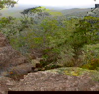 Pigeon House Mountain Didthul Walking Track - Northern Rivers Accommodation