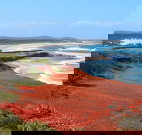 Red Cliff - Northern Rivers Accommodation
