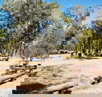 Salvator Rosa Carnarvon National Park - Northern Rivers Accommodation