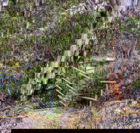 Sawpit Walking Track - Northern Rivers Accommodation