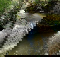 Second Ponds Creek Walk - Northern Rivers Accommodation