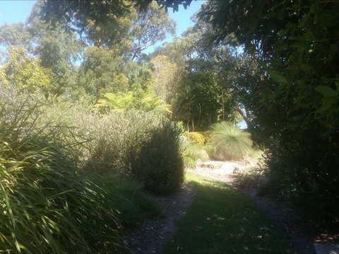 Shoalhaven Heads Native Botanic Garden - Northern Rivers Accommodation 2