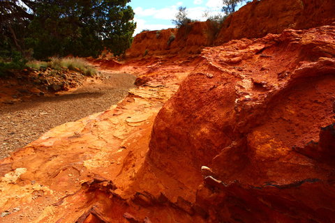 Skytrek - Northern Rivers Accommodation 1