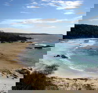 Snorkelling Mystery Bay - Northern Rivers Accommodation