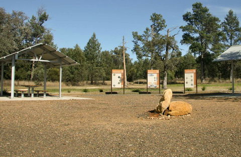 Terry Hie Hie Aboriginal Area - Northern Rivers Accommodation 0