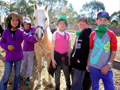 The Saddle Camp - Northern Rivers Accommodation 0