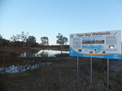 Tiger Bay Wetlands - Northern Rivers Accommodation 0
