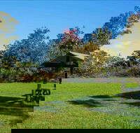 Tunks Hill picnic area - Northern Rivers Accommodation