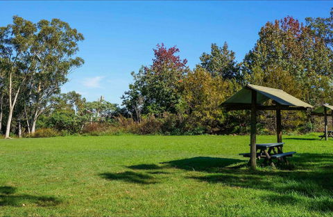 Tunks Hill Picnic Area - Northern Rivers Accommodation 0