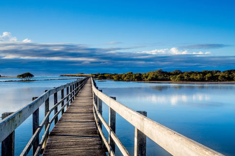 Urunga Boardwalk - Northern Rivers Accommodation 1