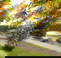 Wentworth Falls Lake - Northern Rivers Accommodation
