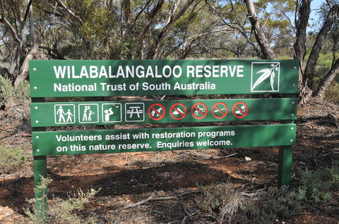 Wilabalangaloo Reserve - Northern Rivers Accommodation 0