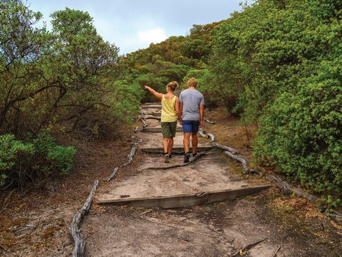 Woody Island Nature Reserve - Northern Rivers Accommodation 2