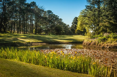 Yowani Country Club Incorporated - Northern Rivers Accommodation 2