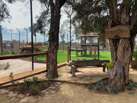 Zambi Wildlife Retreat - Northern Rivers Accommodation 1