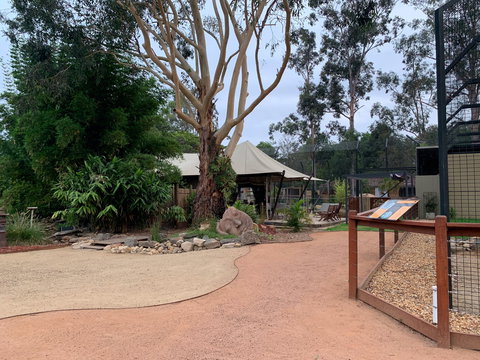 Zambi Wildlife Retreat - Northern Rivers Accommodation 2