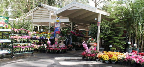 Adare - Northern Rivers Accommodation 2
