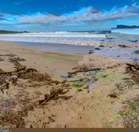 Avenue Beach - Northern Rivers Accommodation