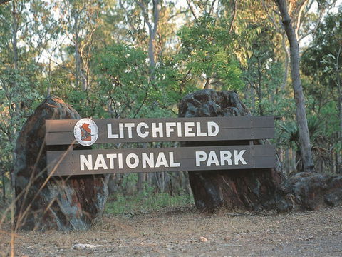 Bamboo Creek Tin Mine - Northern Rivers Accommodation 1