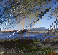 Bandicoot Bar - Northern Rivers Accommodation