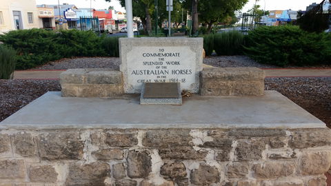 Barmera Horse Trough - Northern Rivers Accommodation 0