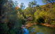 Bargo State Conservation Area - thumb 0