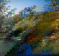 Bargo State Conservation Area - Northern Rivers Accommodation